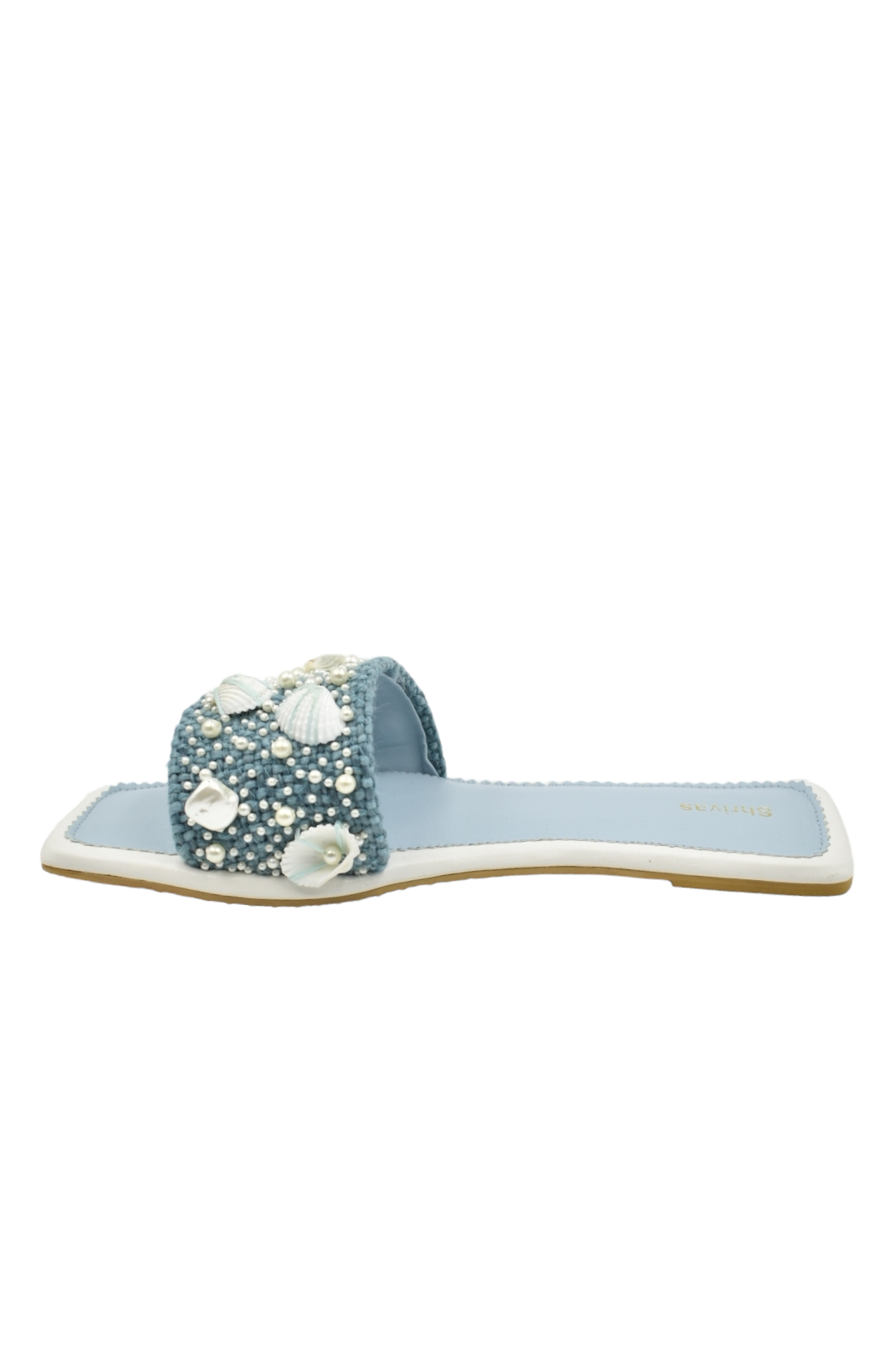 Shells- Blue
