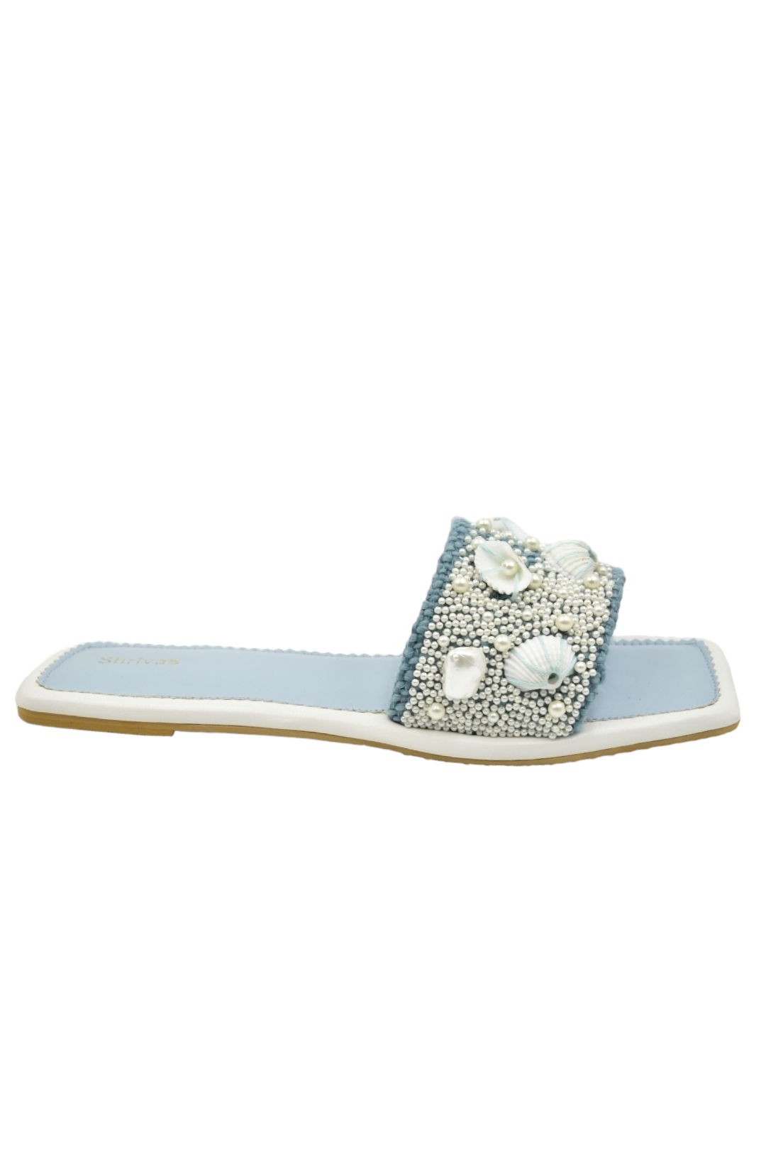 Shells- Blue