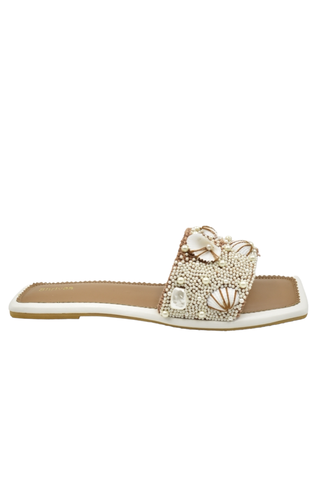 Shells- Brown