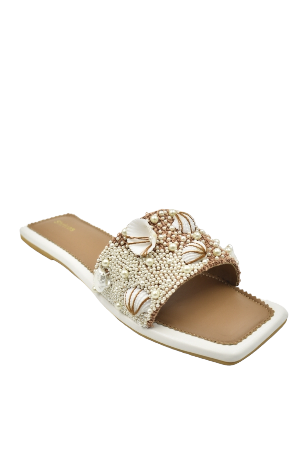Shells- Brown